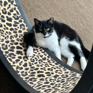 Meet your Posher, Irma